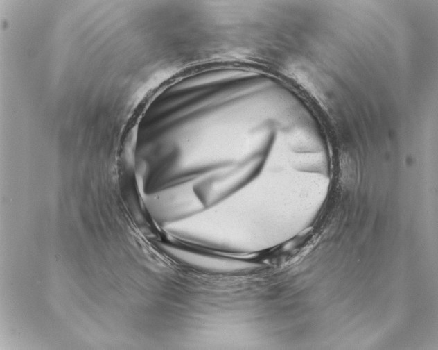 X0000088601308200706151751