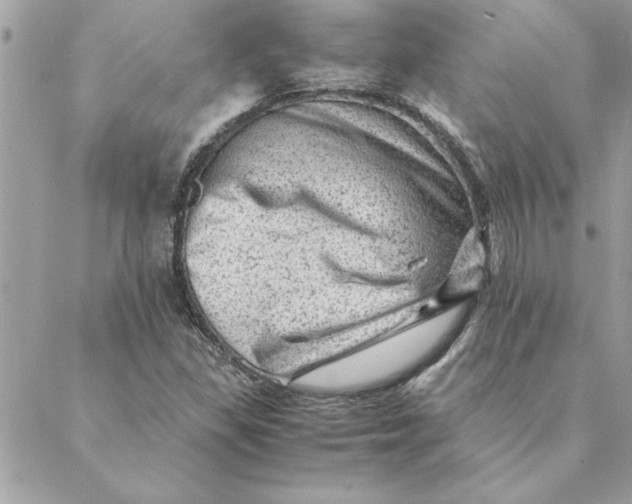 X0000088601309200706151751