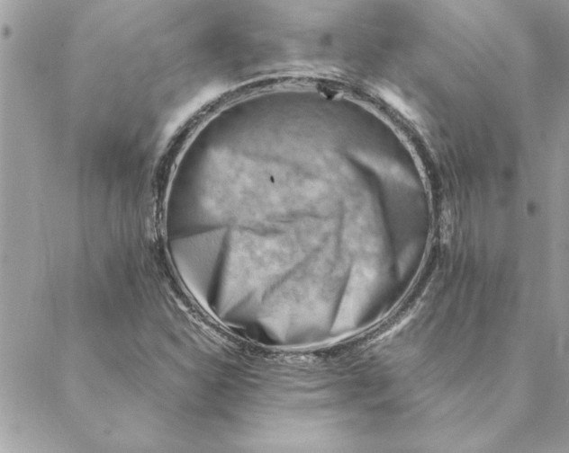 X0000088601310200706151751