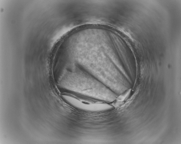 X0000088601311200706151751