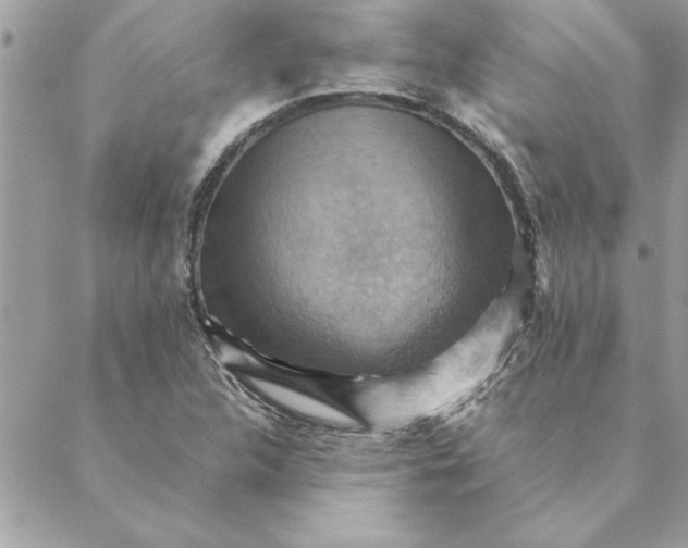 X0000088601312200706151751