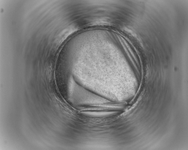 X0000088601313200706151751