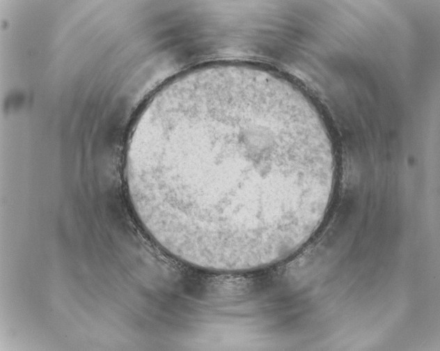 X0000088601314200706151751