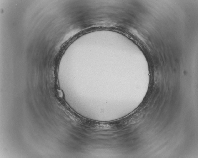 X0000088601315200706151751