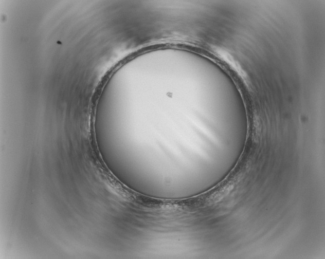 X0000088601316200706151751