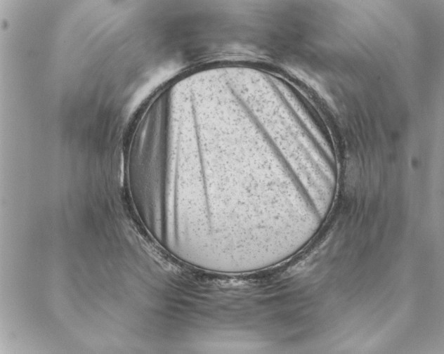 X0000088601317200706151751