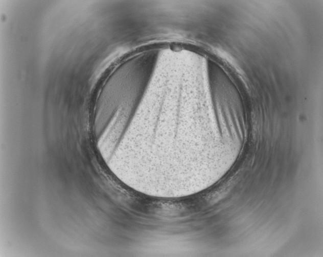 X0000088601318200706151751