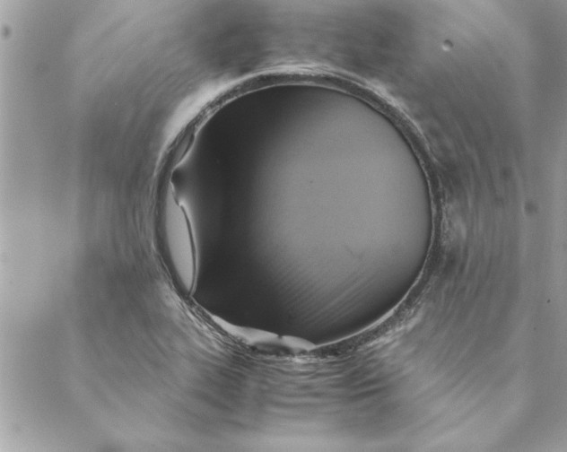 X0000088601319200706151751