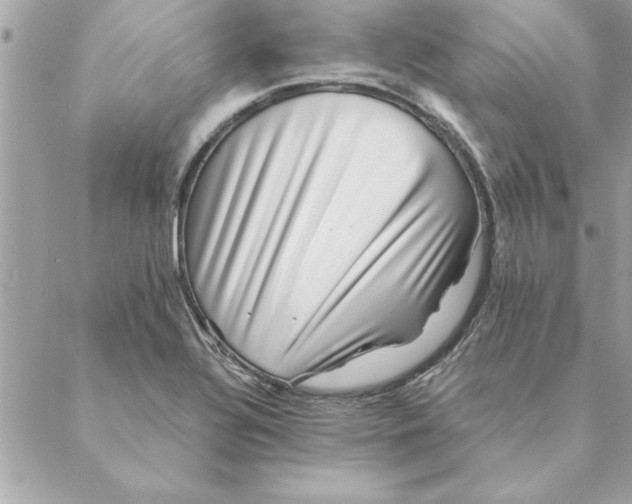 X0000088601320200706151751