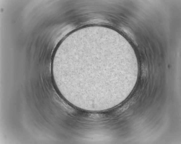 X0000088601322200706151751