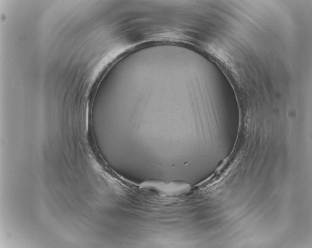 X0000088601323200706151751