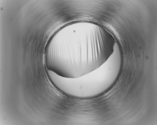 X0000088601324200706151751