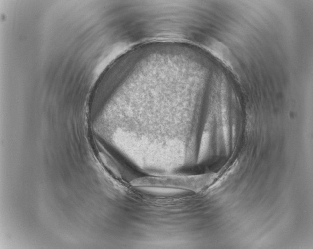 X0000088601325200706151751