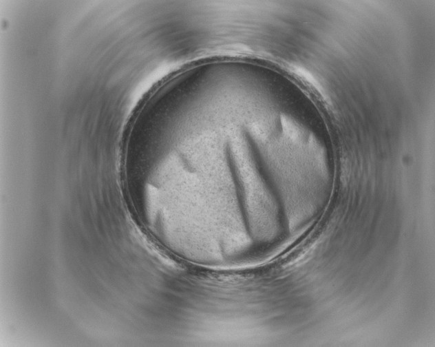 X0000088601326200706151751