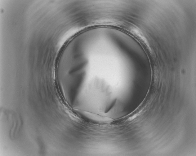 X0000088601328200706151752