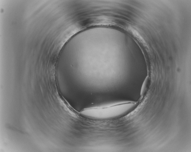 X0000088601329200706151752