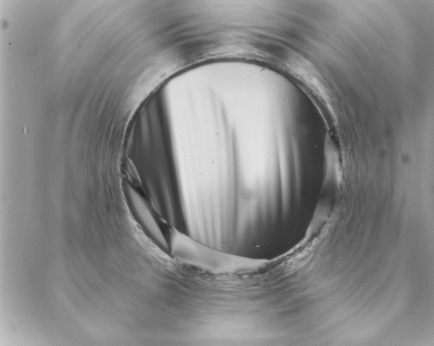 X0000088601330200706151752