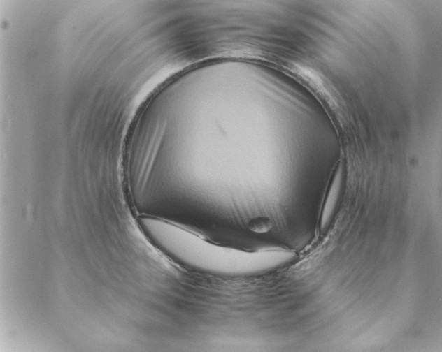 X0000088601331200706151752