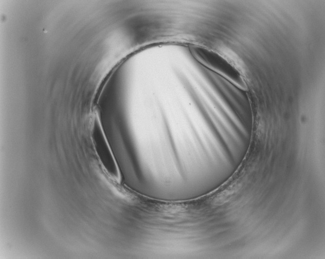 X0000088601332200706151752