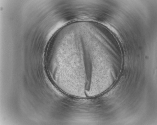 X0000088601333200706151752