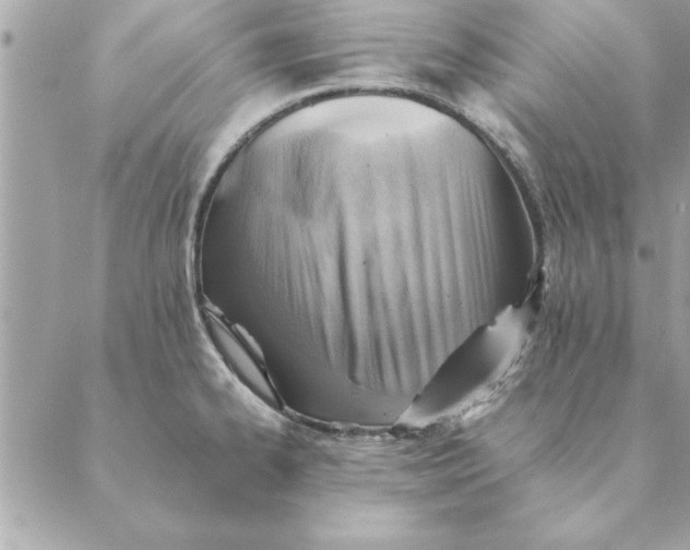 X0000088601334200706151752