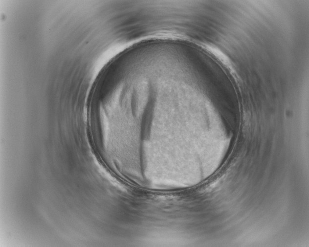 X0000088601335200706151752