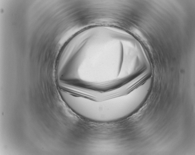 X0000088601336200706151752