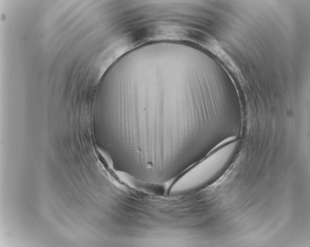 X0000088601337200706151752