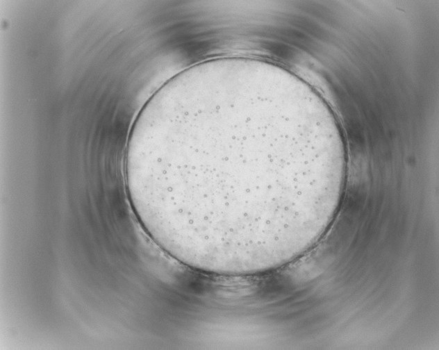 X0000088601338200706151752