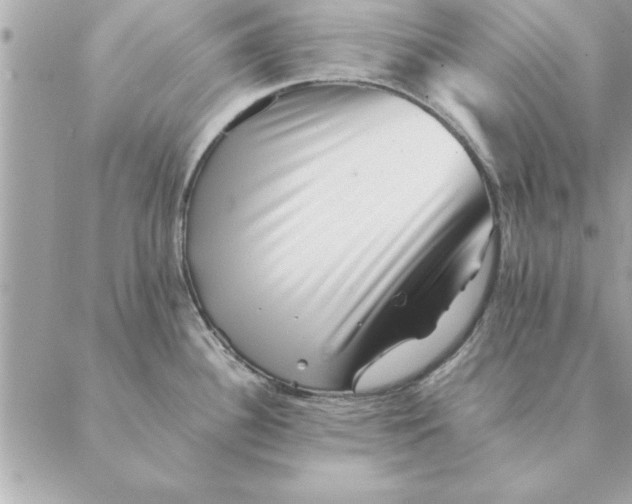 X0000088601340200706151752