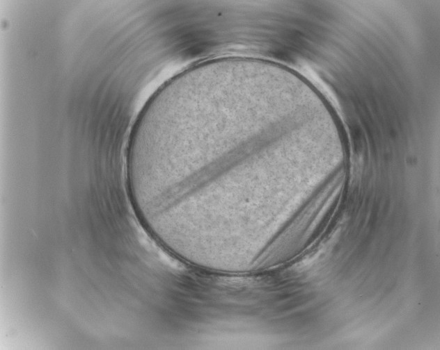 X0000088601341200706151752