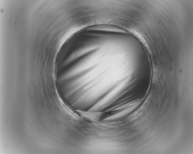 X0000088601342200706151752