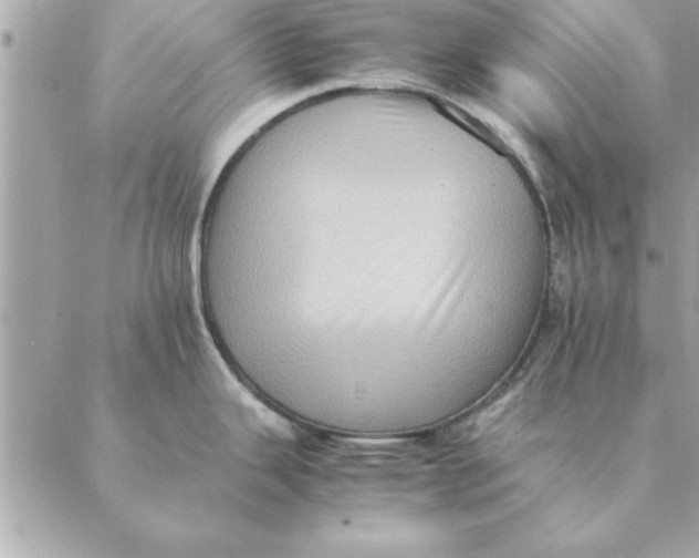 X0000088601343200706151752