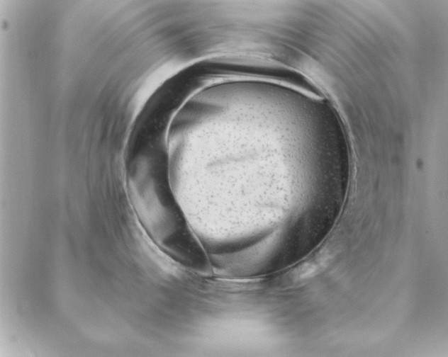 X0000088601344200706151752