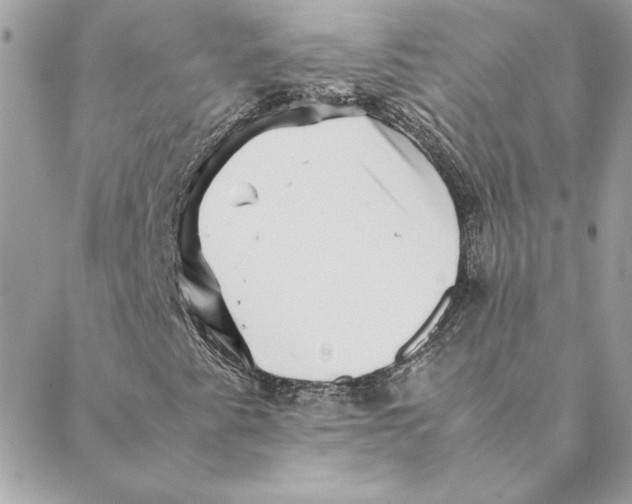 X0000088601345200706151751