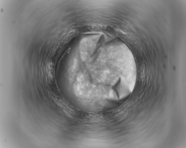 X0000088601346200706151751