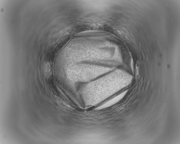 X0000088601347200706151751