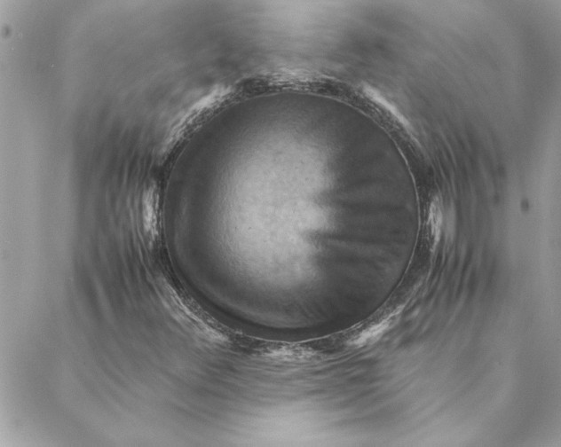 X0000088601348200706151751