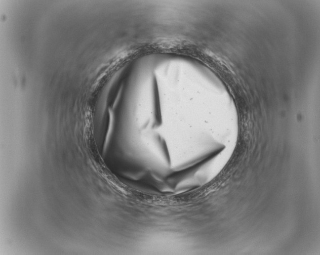 X0000088601349200706151751