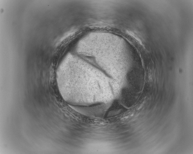 X0000088601350200706151751