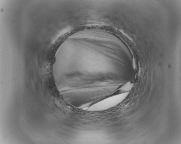 X0000088601351200706151751