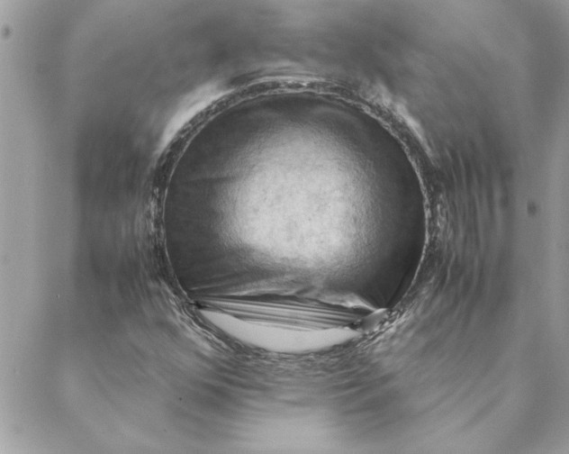 X0000088601352200706151751