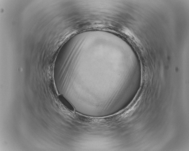 X0000088601353200706151751