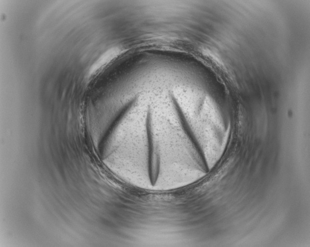 X0000088601354200706151751