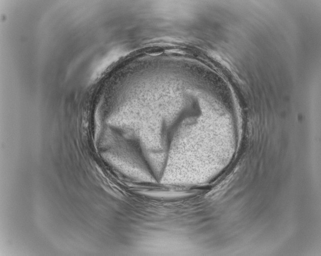 X0000088601355200706151751