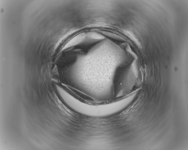 X0000088601356200706151751