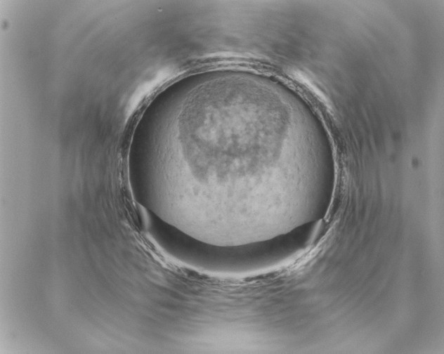 X0000088601357200706151751