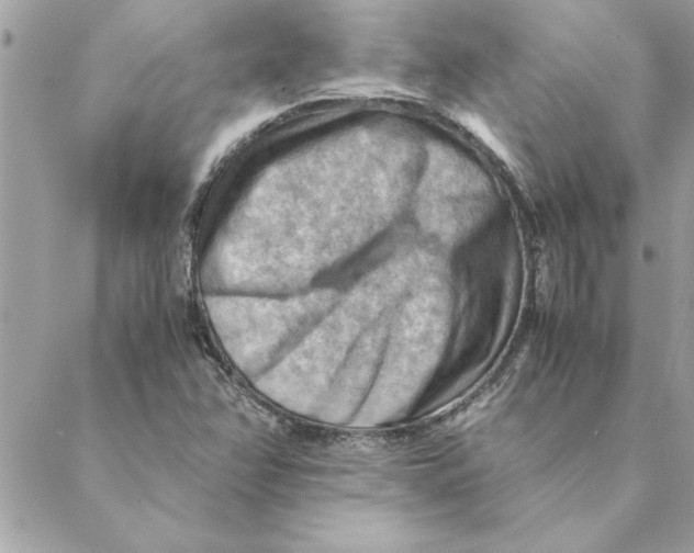 X0000088601358200706151751