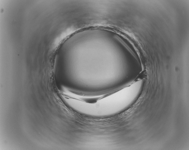 X0000088601359200706151751