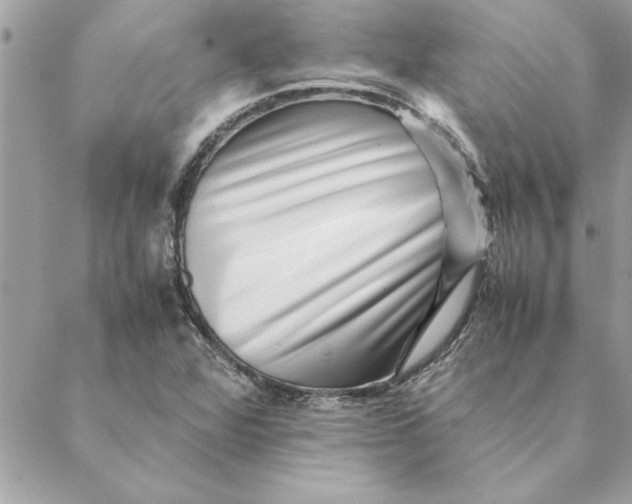 X0000088601360200706151751